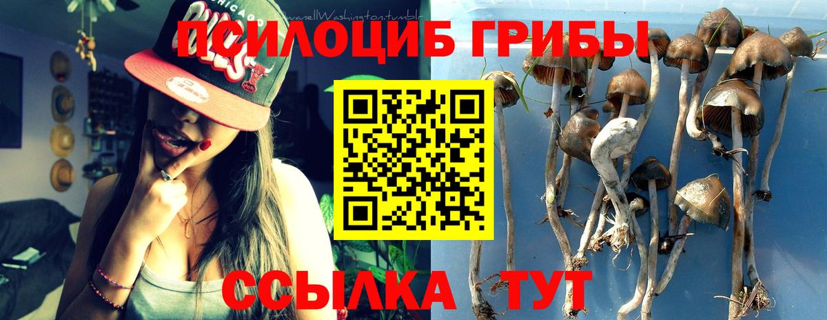 Псилоцибиновые грибы MAGIC MUSHROOMS Мурманск